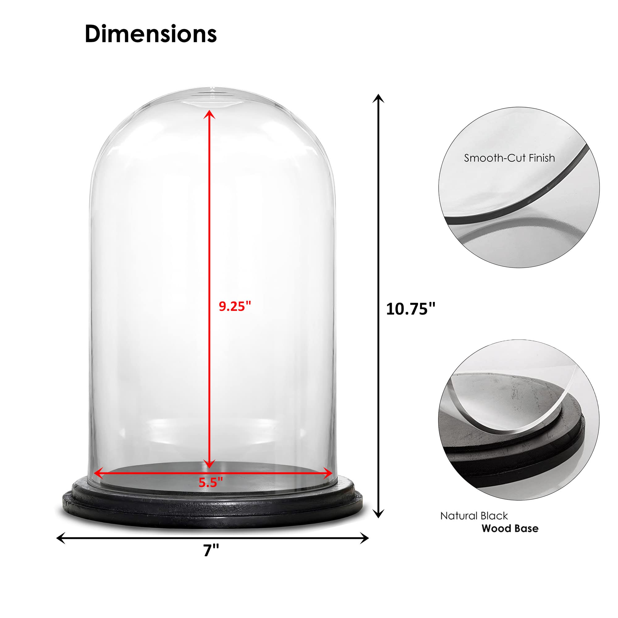 CYS EXCEL Glass Dome Cloche (H:9.25