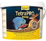 Tetra