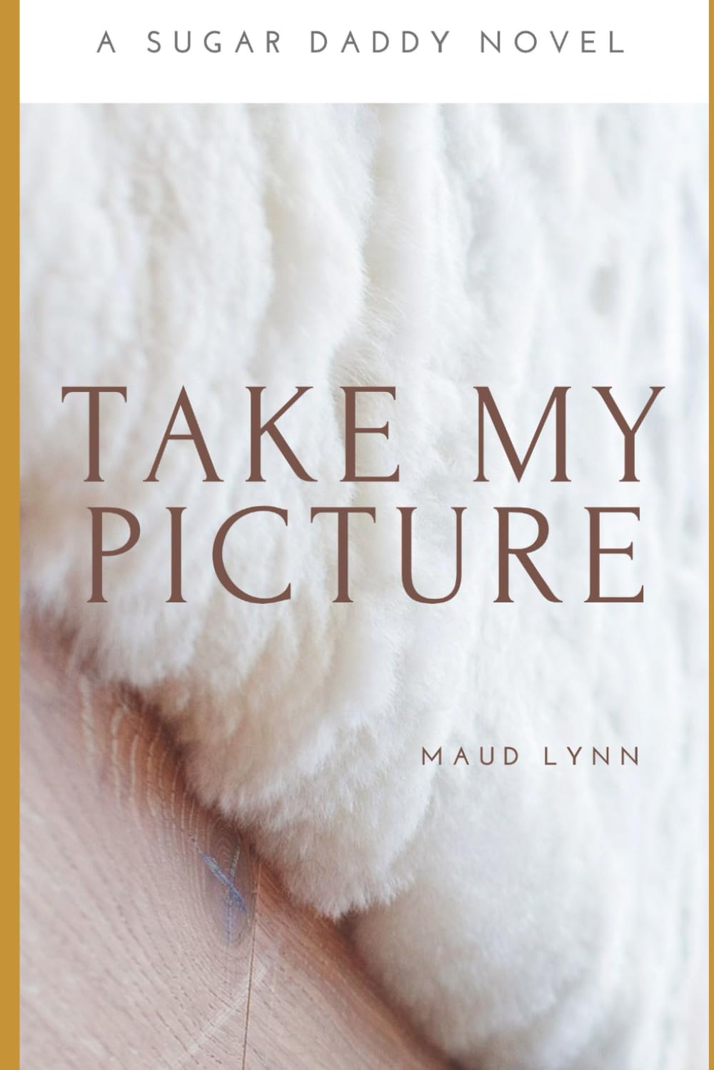 Take My Picture: A Sugar Daddy Novel (The Sugar Daddy Series)