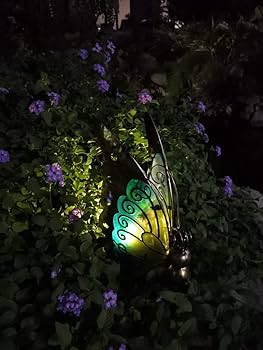 61-gUq0FVyL._AC_UF350,