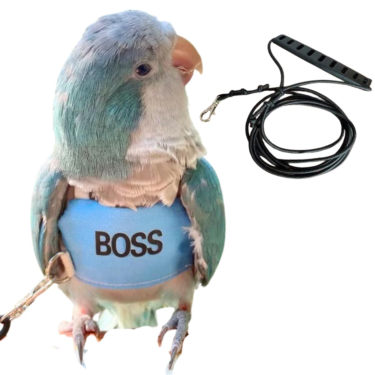 Bird Flight Harness Vest, Parrot Flight Suit with Leash, Bird Flying Clothes with Rope and Handle for Outdoor Activities (2XL)