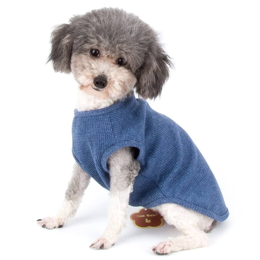 Amazon | RANPHY 犬服 タンク 春 夏 タンクトップ 小型犬服