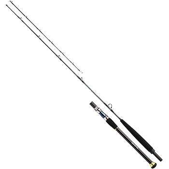Daiwa boat rod Outlet
