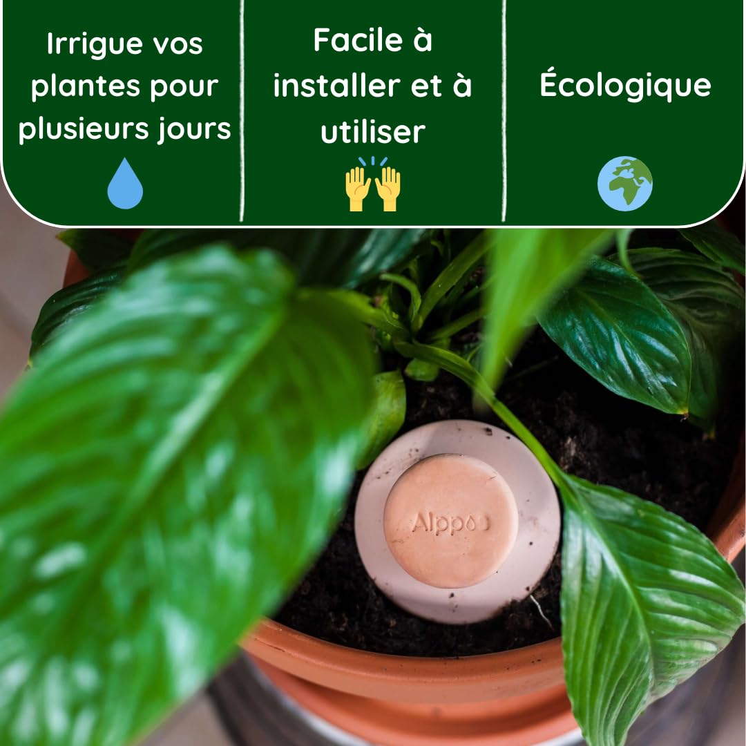 3 Oyas à Enterrer 500 ML en Terre Cuite Naturelle avec Couvercle – Arrosage Automatique Écologique pour Plantes d’Intérieur et d’Extérieur – Autonomie Jusqu’à 1 à 2 Semaines