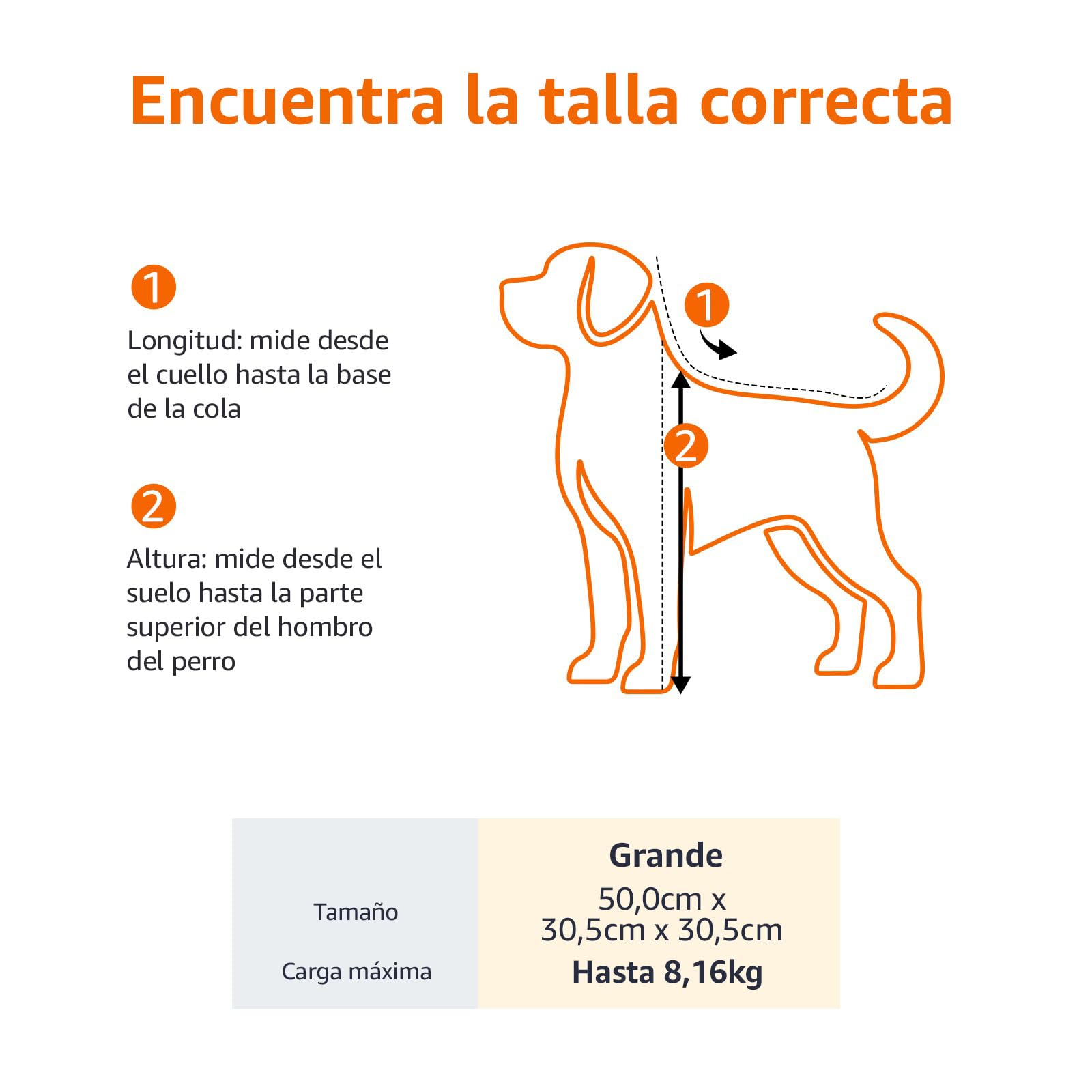 Amazon Basics Perro Trasportín con laterales flexibles, Grande, Negro, 50 x 30.4 x 30.4 cm (L x An x Al)