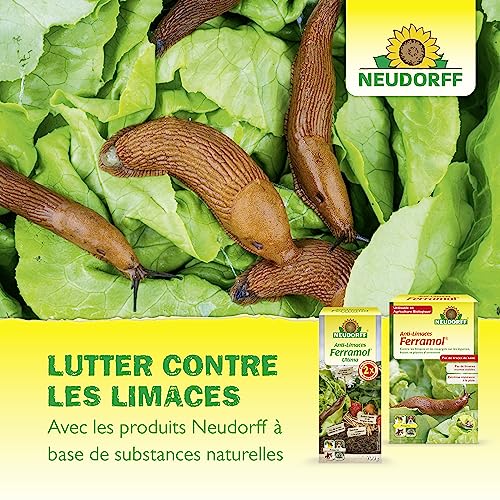 Vignette produit