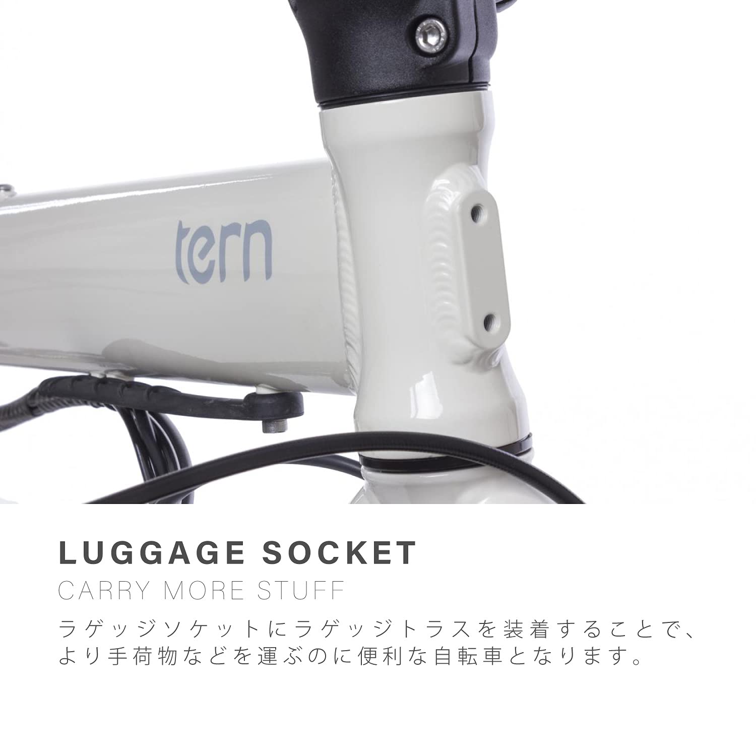 Amazon | tern(ターン)2021年モデル Link D8 20インチ 8段変速 