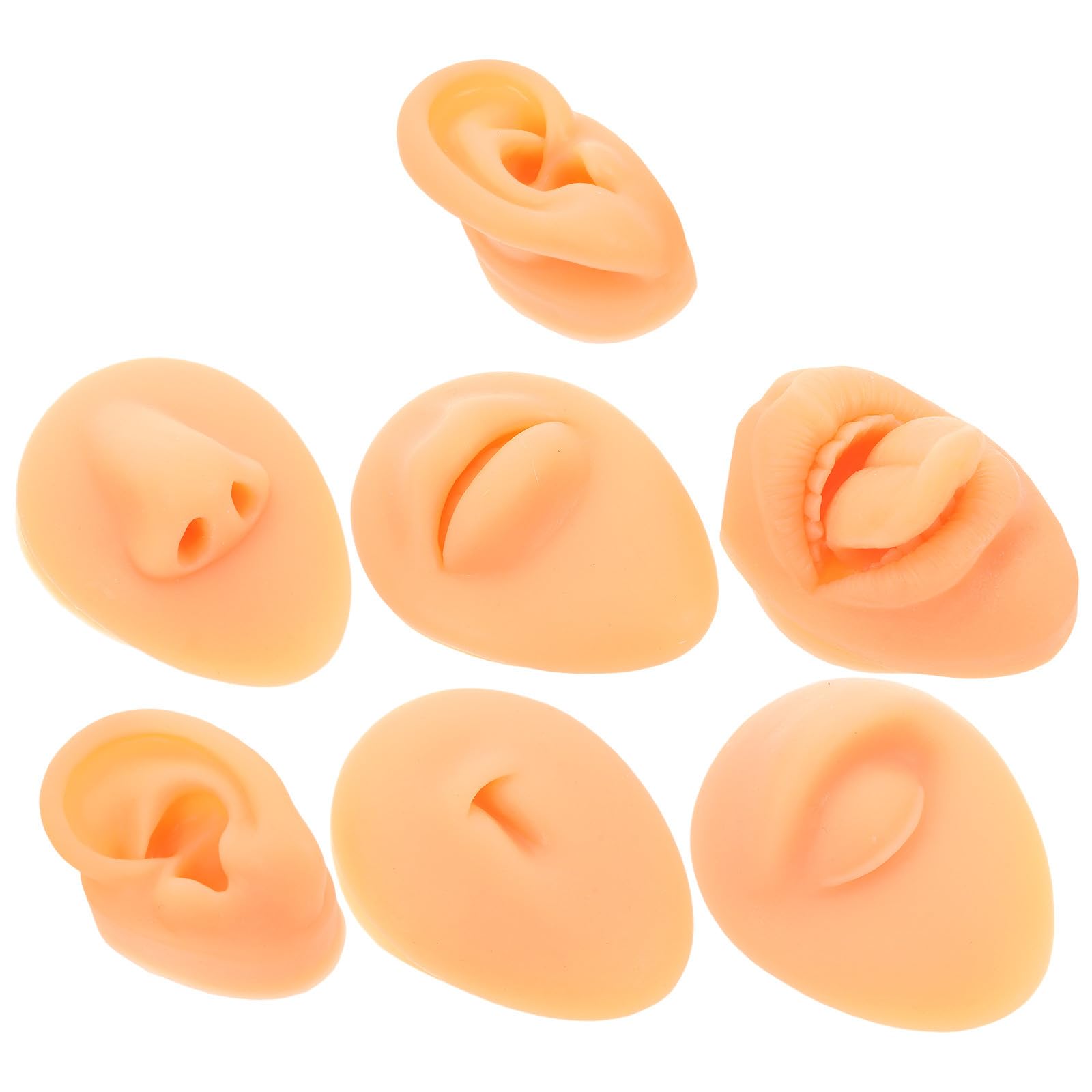 GARVALON Facciale per Saloni di Bellezza Facile da Pulire e Uso Personale Realistica in Silicone Morbido per Pratica di Piercing Orecchie, Naso e Lingua
