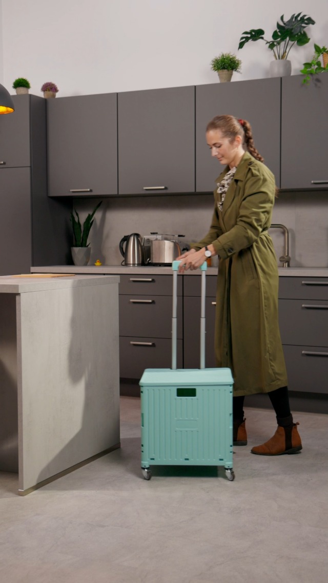 Carrello Spesa Pieghevole Relaxdays: Porta 35 Kg, Manico Regolabile, Pratico E Compatto