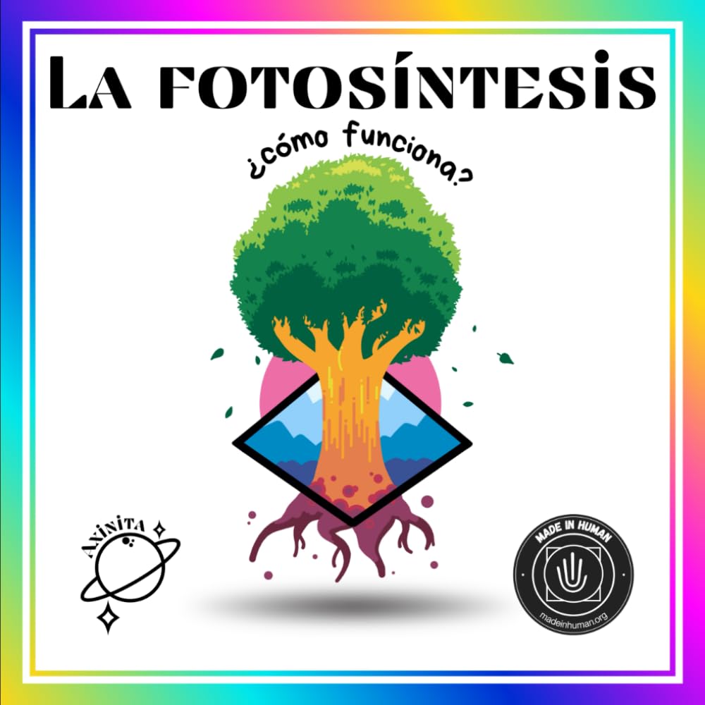 La fotosíntesis: ¿cómo funciona?