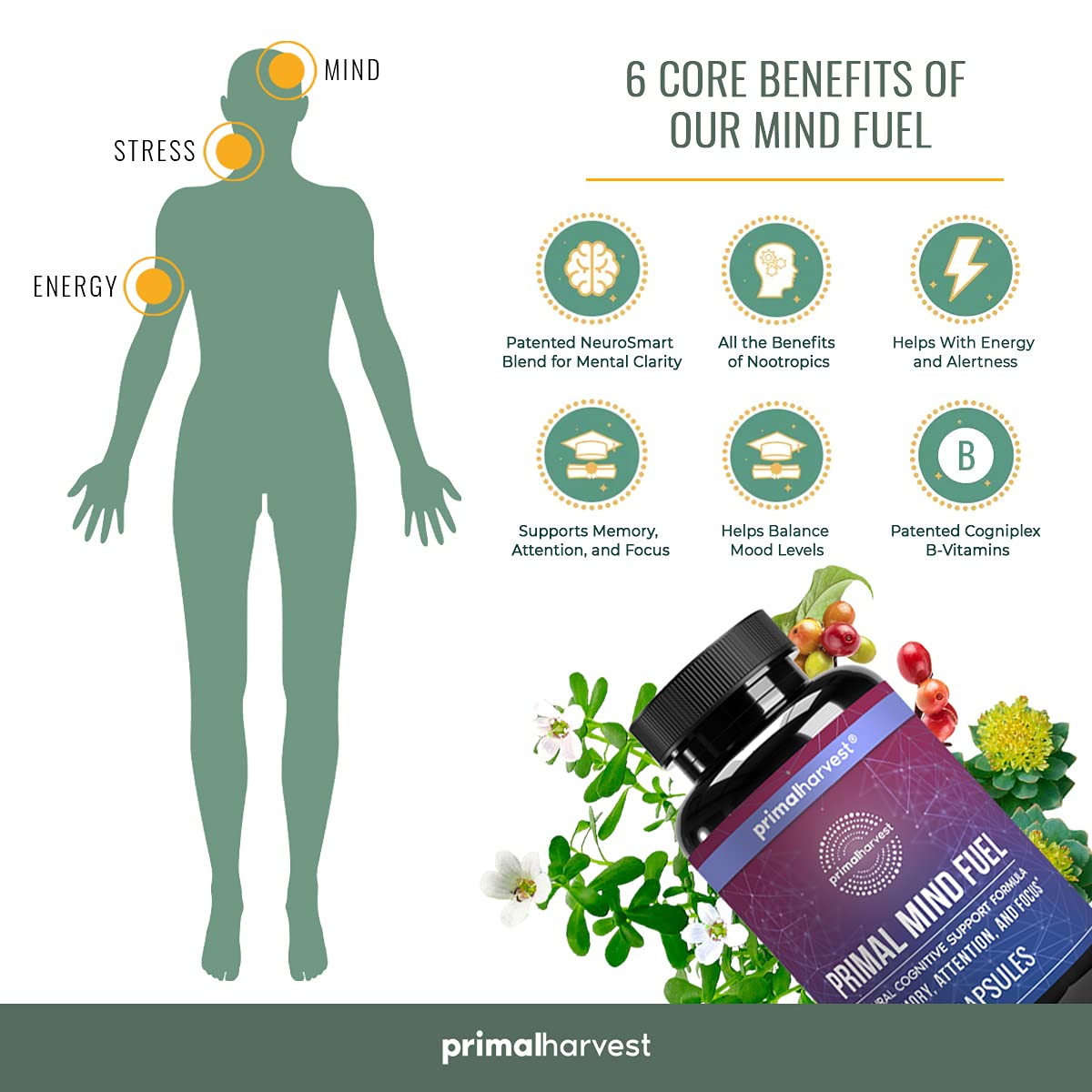 Brain Supplement by Primal Harvest - Primal Mind Fuel Brain Booster for