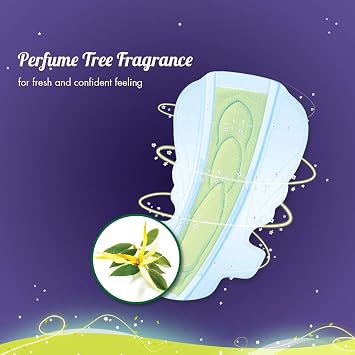Sofy Overnight Antibacteria XXL 20