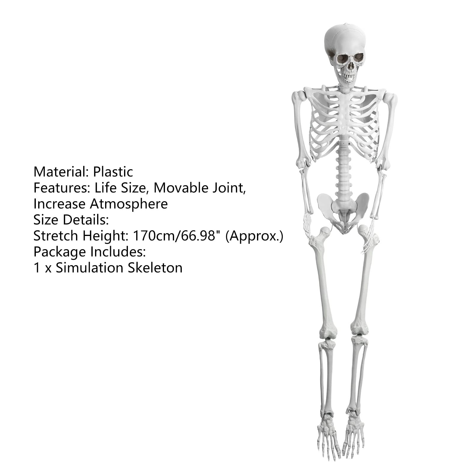 165 cm ludzki szkielet model możliwy szkielet model 165 cm wysokości plastikowe dekoracje szkieletu na Halloween z ruchomymi przegubami do dekoracji wewnątrz i na zewnątrz