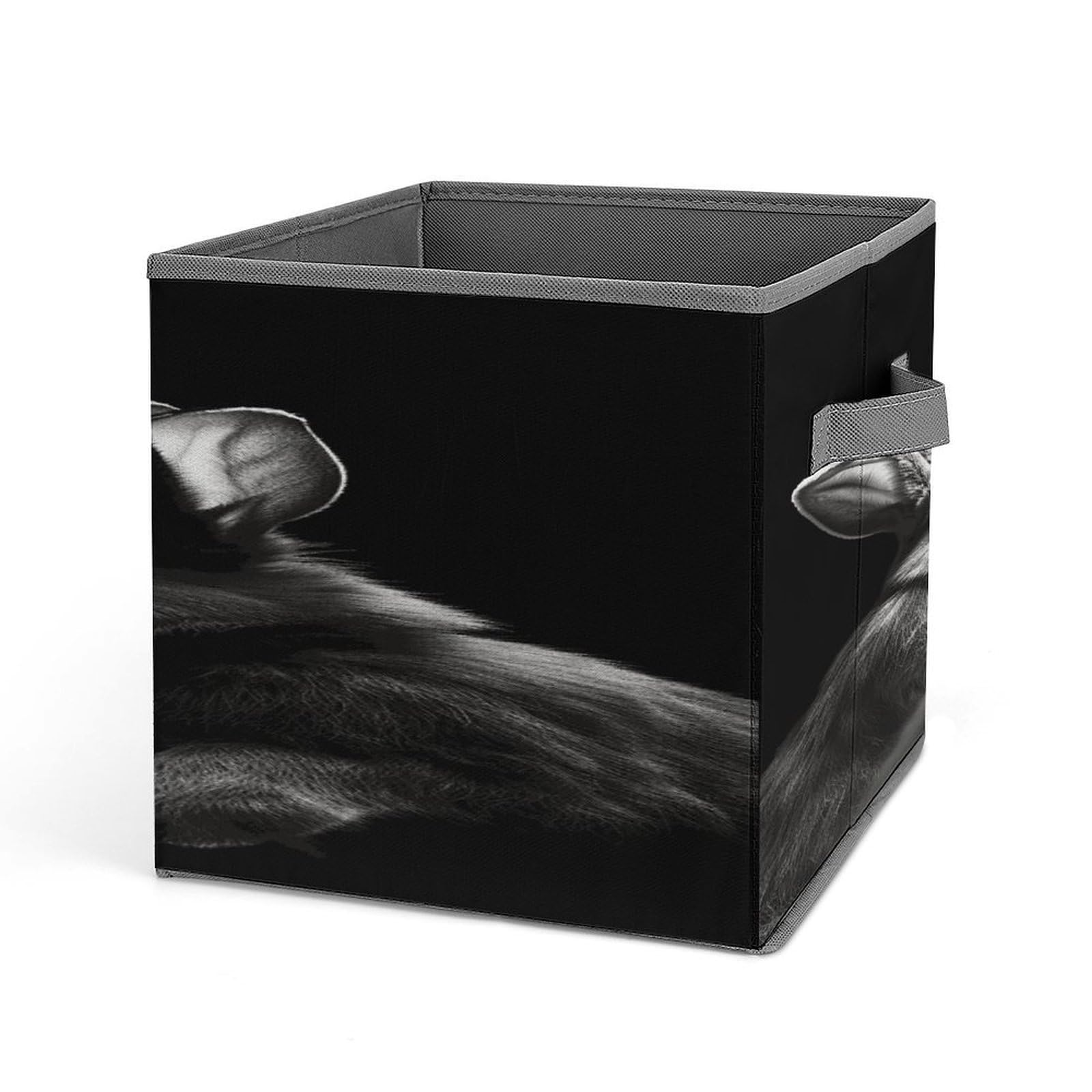 Fekiloot Style Give Rabbit Clip Art Storage Bins Storage Baskets