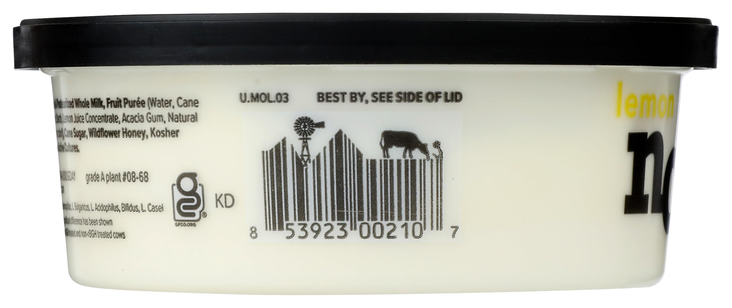 Amazon.com: Noosa Lemon Yoghurt, 8 OZ : Everything Else