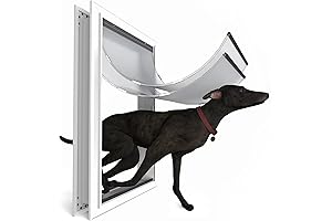 XL Pet Door: The Ultimate Guardian for Your Furry Friends