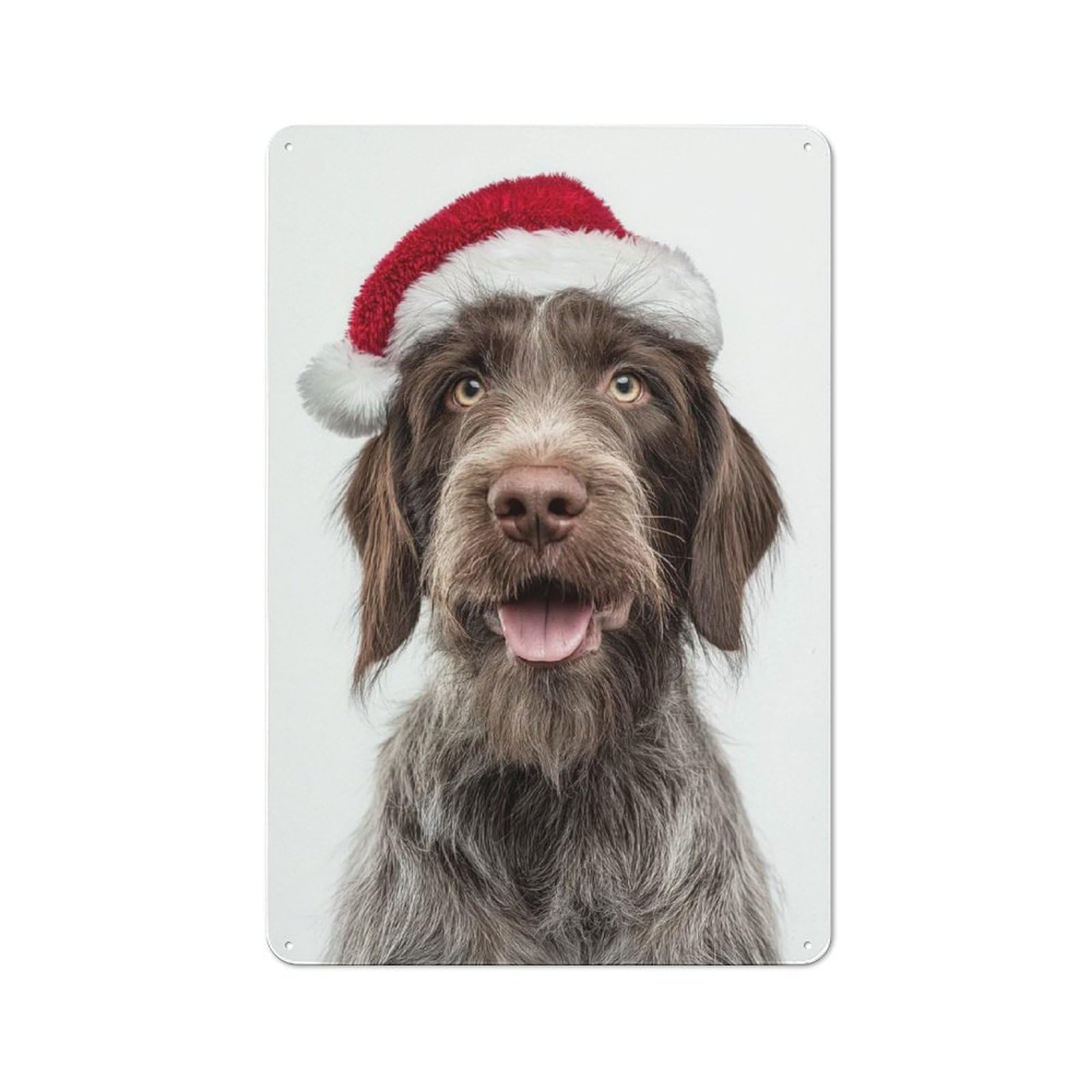 Junmoney Wirehaired Pointing Griffon Dog With Santa Ha T Portrait Classic Metal Wall Decor 30X20cm, Metal Wall Plaque For Office, Study, Studio Or Hallway