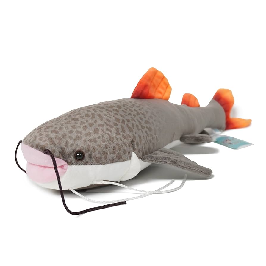 キョーリン　当選　ぬいぐるみ　レッドテールキャット Amazon.co.jp: TSTアドバンス わくわく図鑑 レッドテール