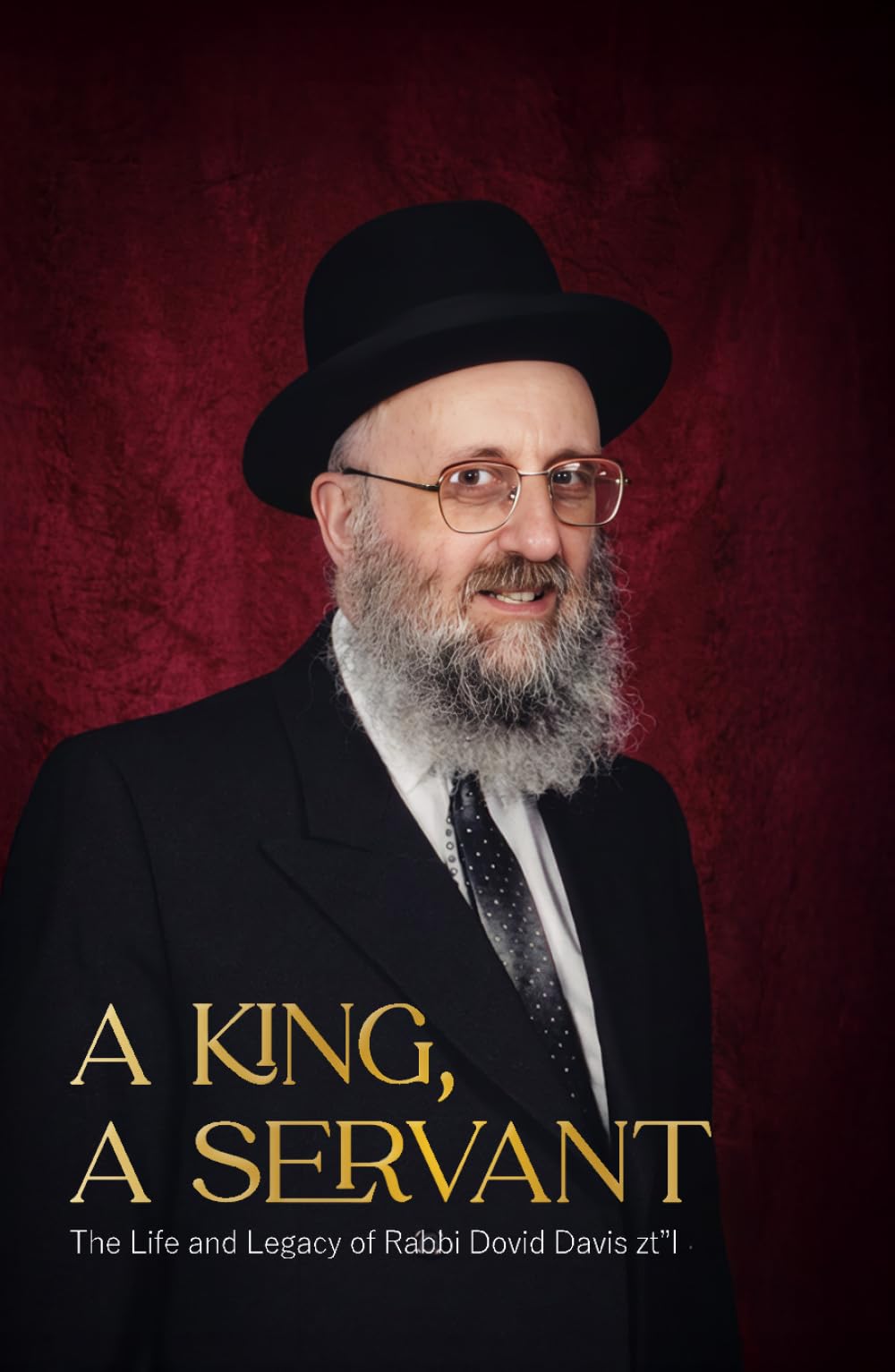 A King, A Servant: The Life and Legacy of Rabbi Dovid Davis zt"l