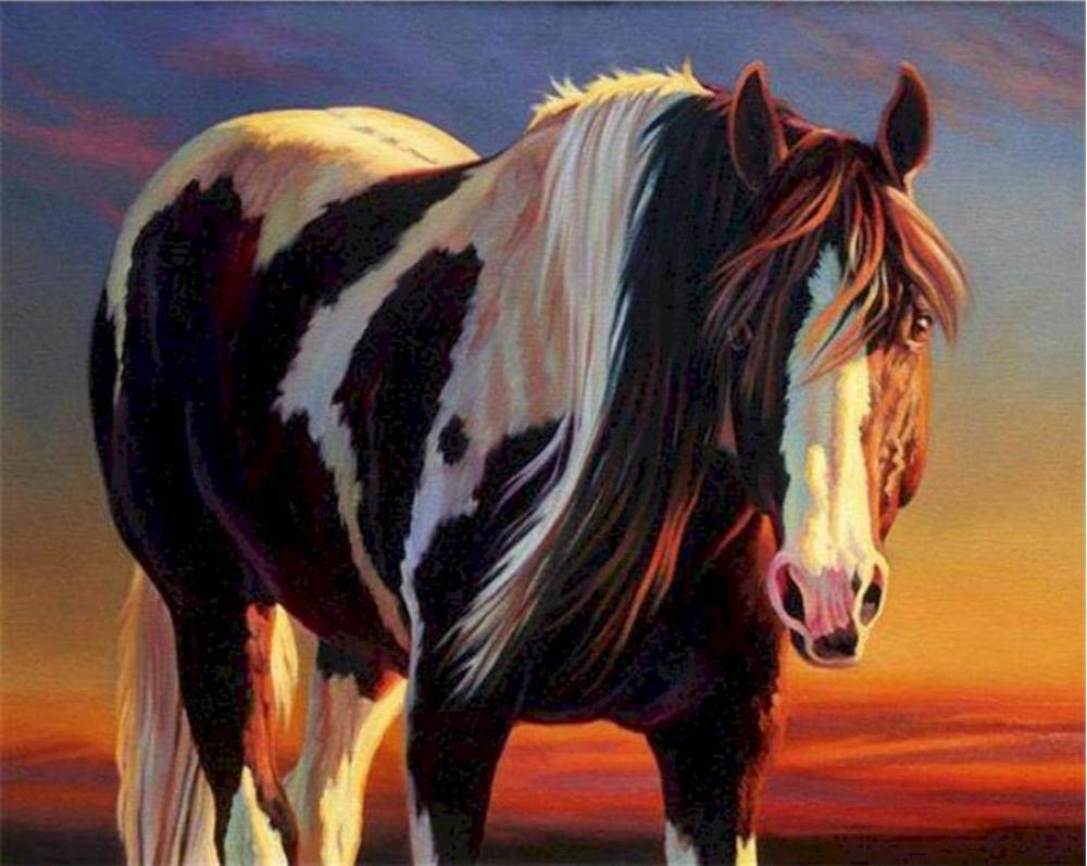 Peinture par numéro adulte motif cheval : l'idée cadeau parfaite pour les passionnés