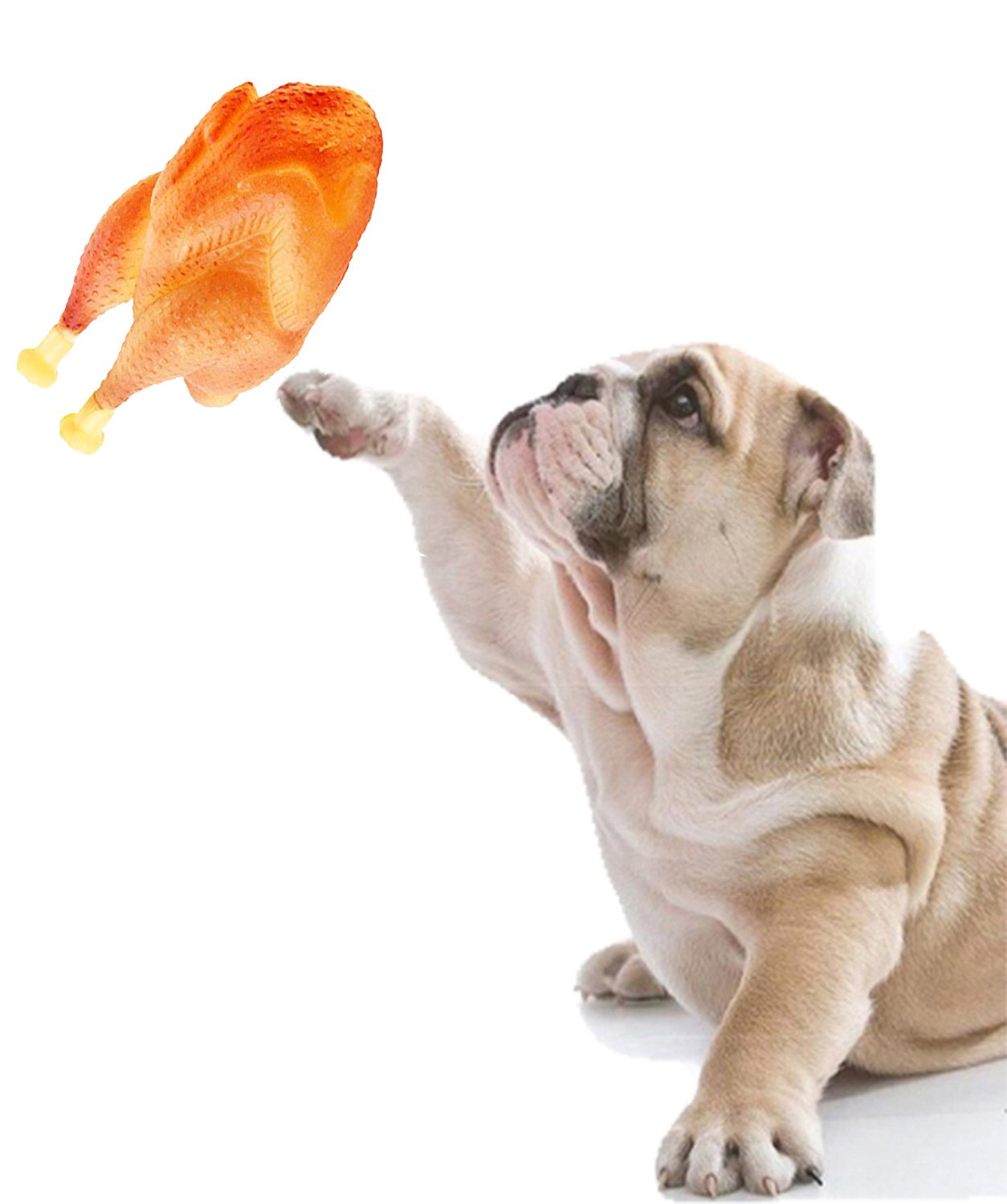Sage Square Natural Rubber Squeaky Cum Chew Chicken Shape Toy for Dog/Puppy/Cat/Kitten (B079T33DMT) Amazon Price History, Amazon Price Tracker
