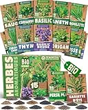 ZenGreens® - Kit de graines d'herbes aromatiques bio - 15 variétés pour une culture fac...