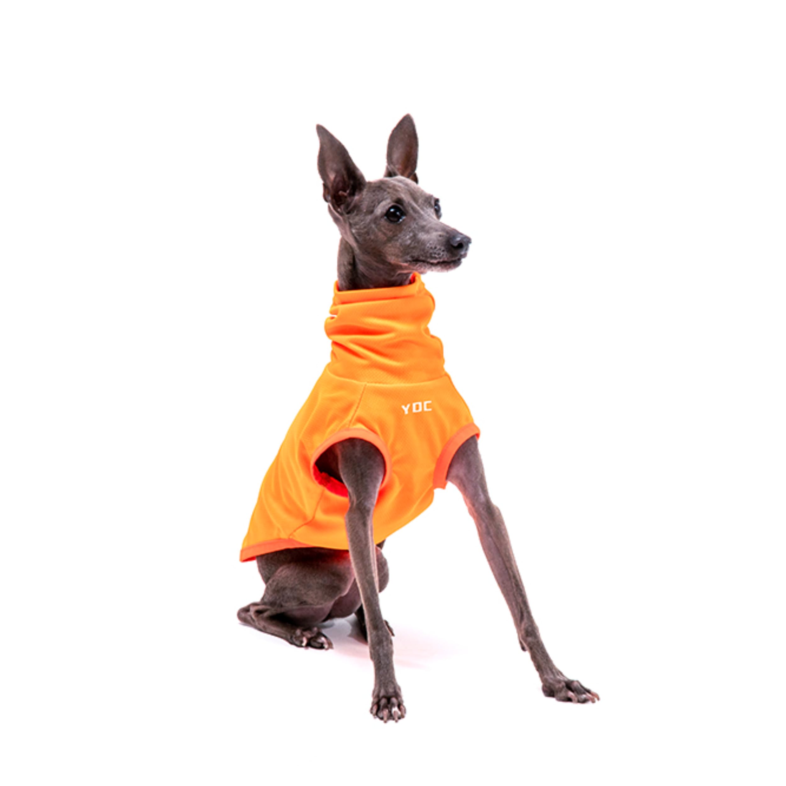 Italian Greyhound Clothes, Lightweight & Breathable Sun Protection Tank Tops for Italian Greyhound and Whippets Dogs (Orange, Large)