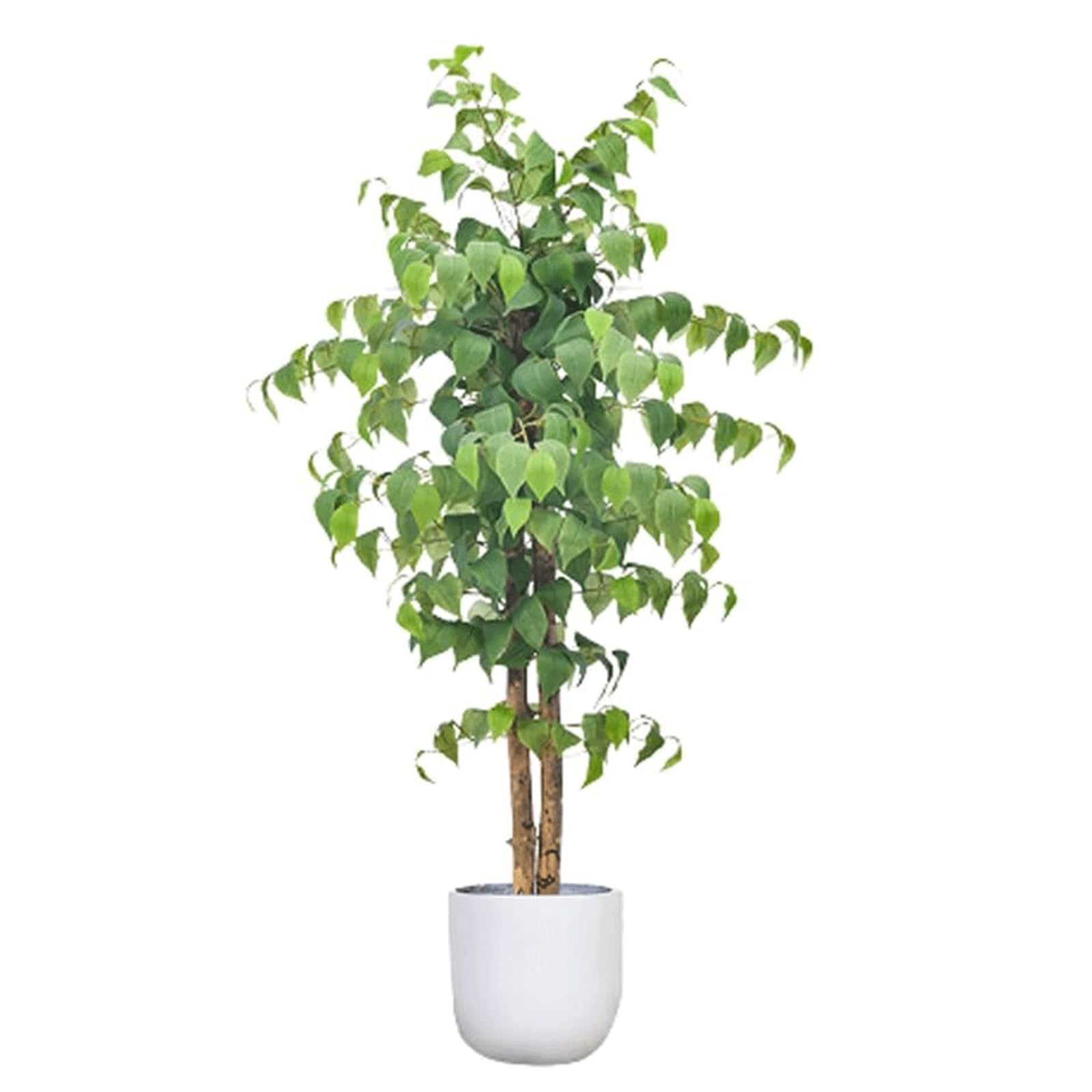 GLJTUO fake tree 120cm/3.93ft Artificial Trees Simulation Banyan Tree Large Realistic Fake Tree For Indoor Outdoor Home Artificial Plant Realistic Design