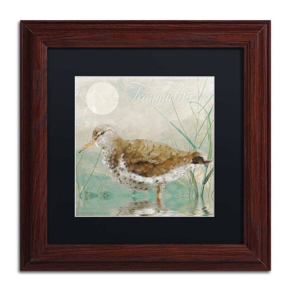 Trademark Fine Art ALI4283-W1111BMF Sand Piper II 11x11
