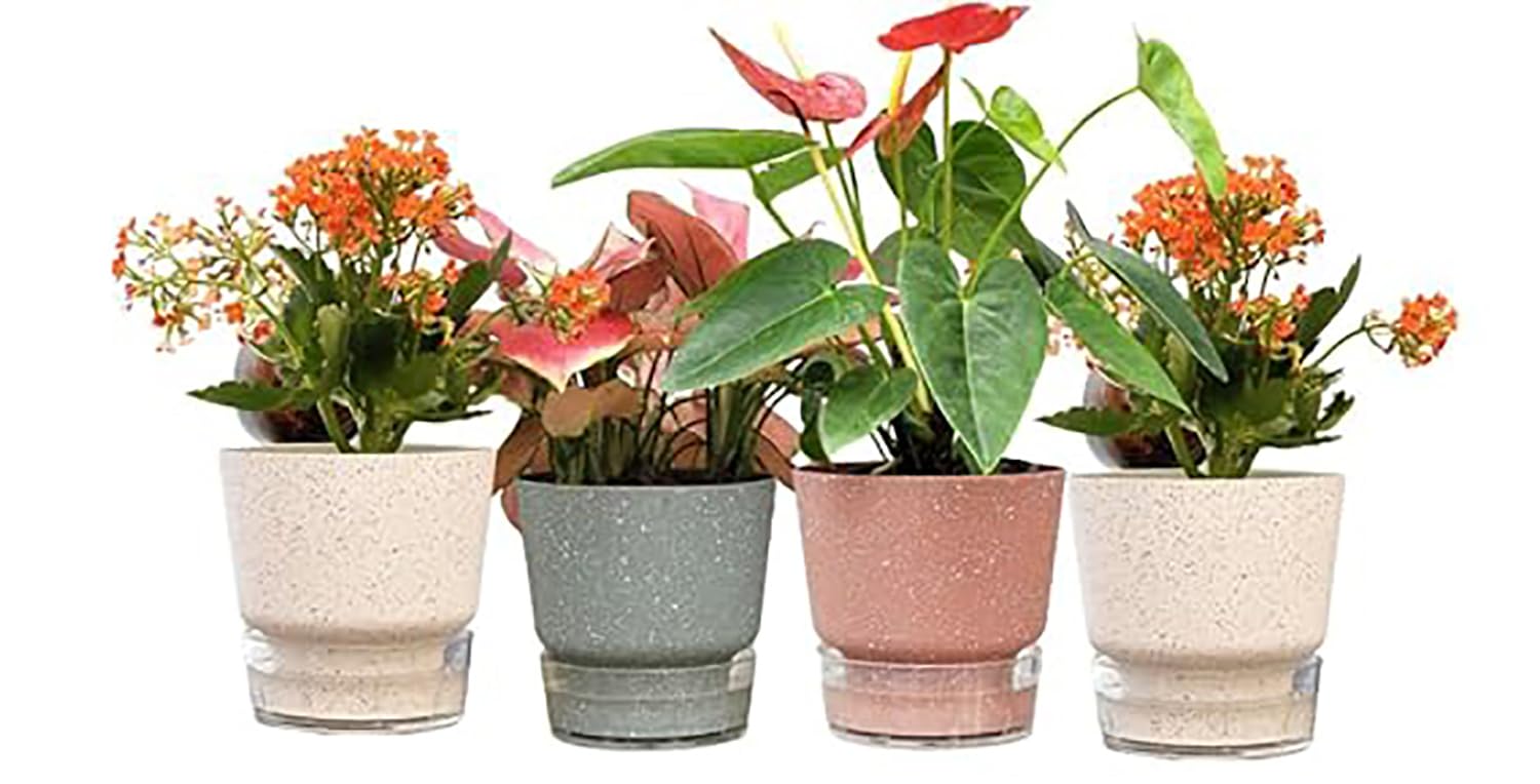 Homestic Flower Pot | Flower Planter Pots for Indoor | Flower Pots for Outdoor | Pot for Garden & Balcony Flowering | Self Watering Flower Pot | P45-3..| Pack of 4 | Multi (B0CTQTJVGR) Amazon Price History, Amazon Price Tracker