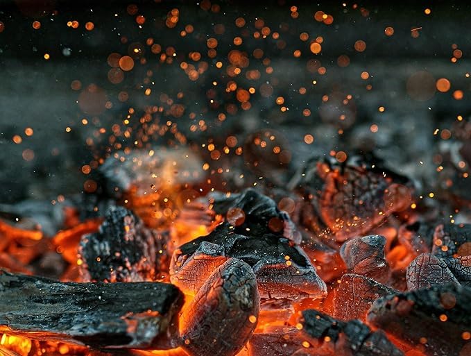 SP Collection Natural Wood Charcoal for Burning Dhoop-Barbeque-Grilling-Cooking-Broiling-Long Burning Coal for Home,Kitchen & Garden (10kg) (B0CXTNV3H6) Amazon Price History, Amazon Price Tracker