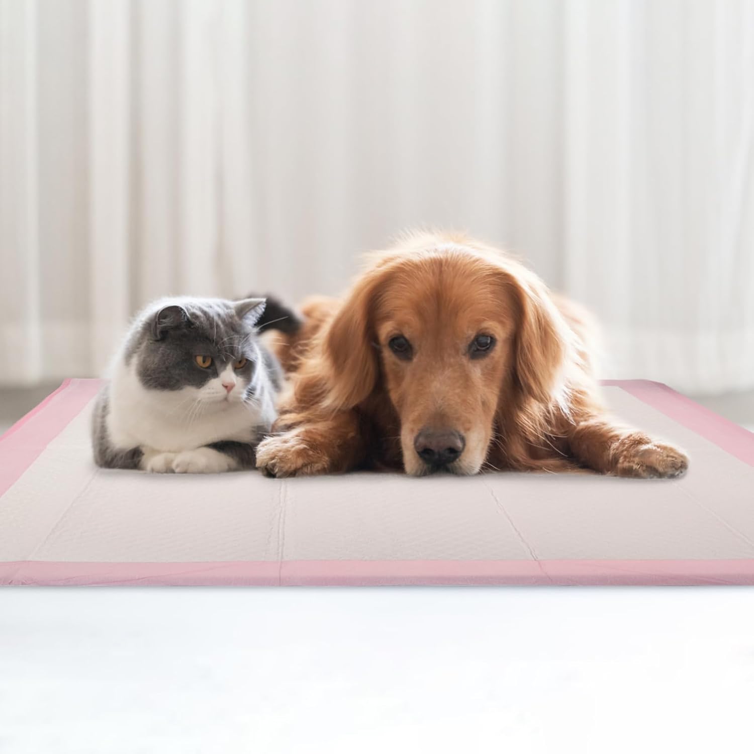 Pee Pads for Dogs Cats Super Absorbent Training Pads Compact for Pets for Indoor Outdoor Use for Puppies Kittens and Rabbits