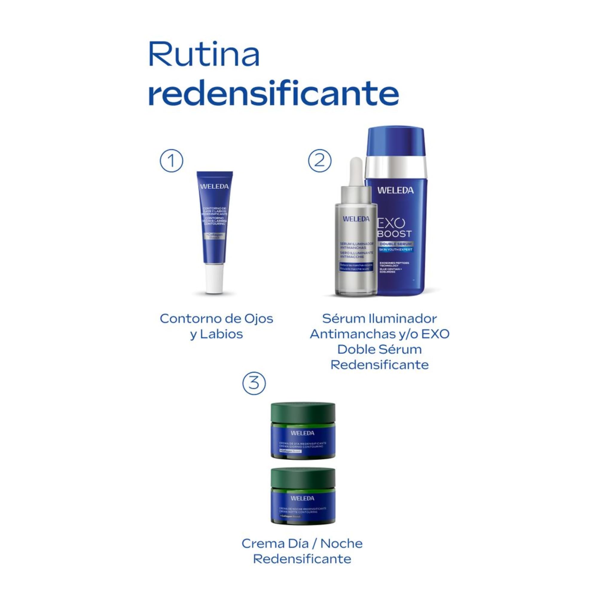 Weleda - Crema Facial de Día, Redensificante, Equilibra e Ilumina, Aumenta el Colágeno de la Piel, Antiedad, 100% Natural, con Genciana Azul y Edelweiss, No Comedogénica, Vegana, Pieles Maduras-40 ml