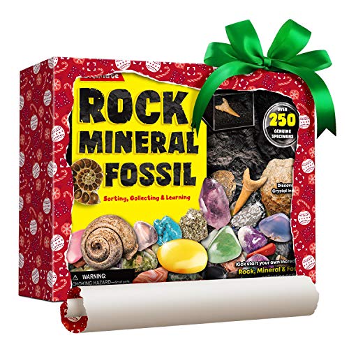 XX Edelsteine und Fossilien Set für Kinder - 250 Steine Set Mit Unterschiedlich Kristalle, Mineralien, Geoden, Edelsteine, Fossilien - Edelsteinsammlung Spielzeug Junge Mädchen 6 7 8 9 10 11 12 Jahre