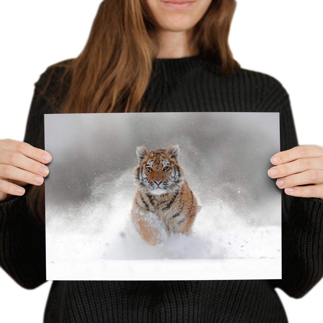 Destination Vinyl Posters A4 - Siberian Tiger Big Cat Snow Art Print 29.7 X 21 cm 280gsm satin gloss photo paper #8600