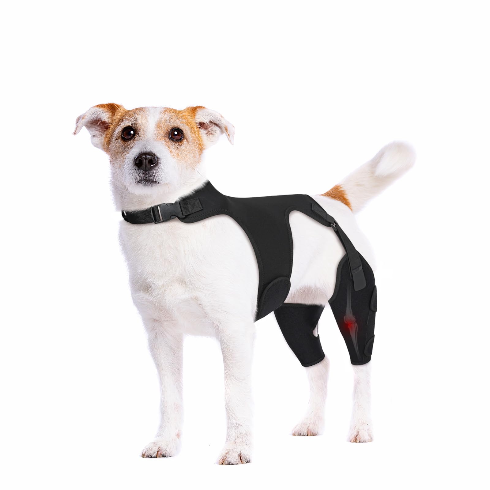 Photo 1 of Pawfun Dog Knee Brace for Torn ACL Hind Leg- Dog Leg Support Brace with Metal Stabilizers for Torn CCL, Limping, Luxating Patella, Ligament Injuries, Hip Dysplasia& Arthritis,S&Vest2