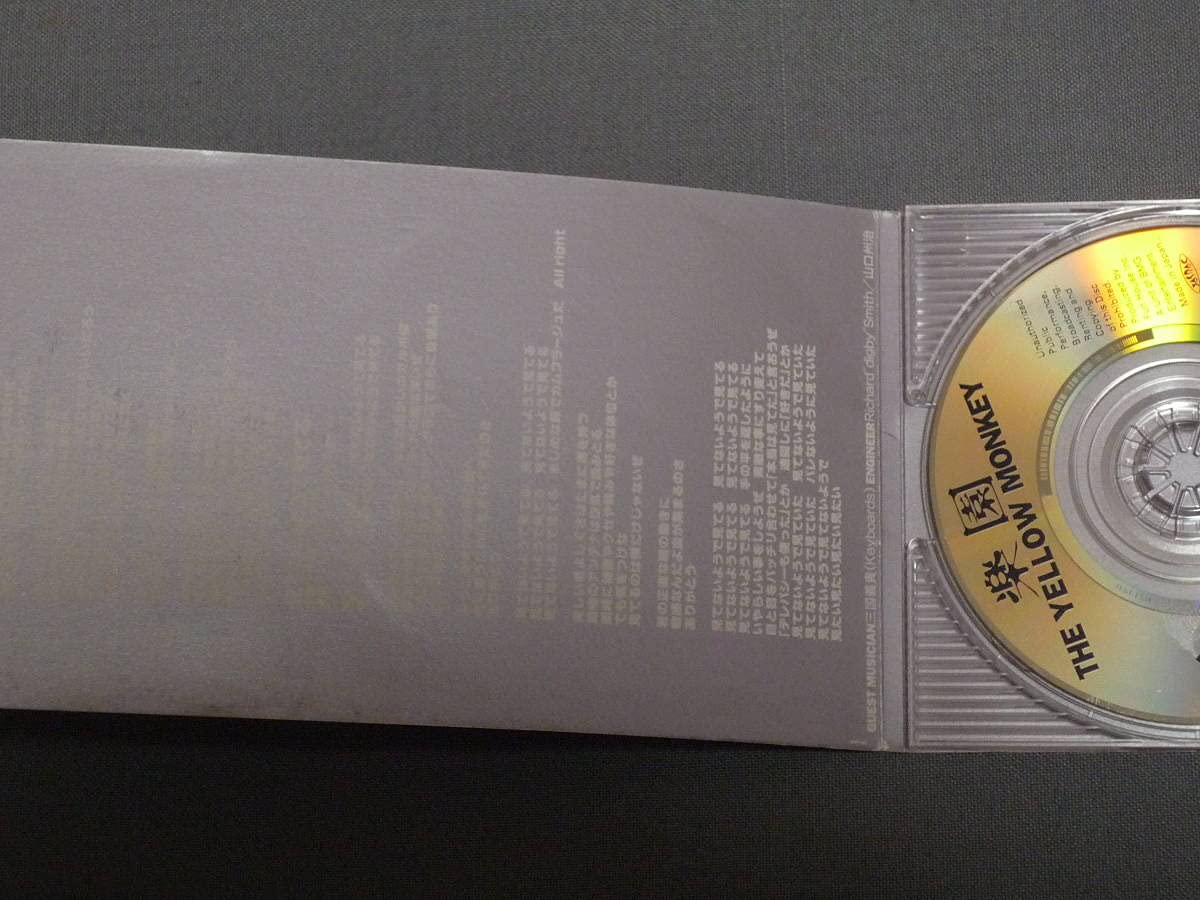 Amazon.co.jp: K38 ザ・イエロー・モンキー THE YELLOW MONKEY 楽園
