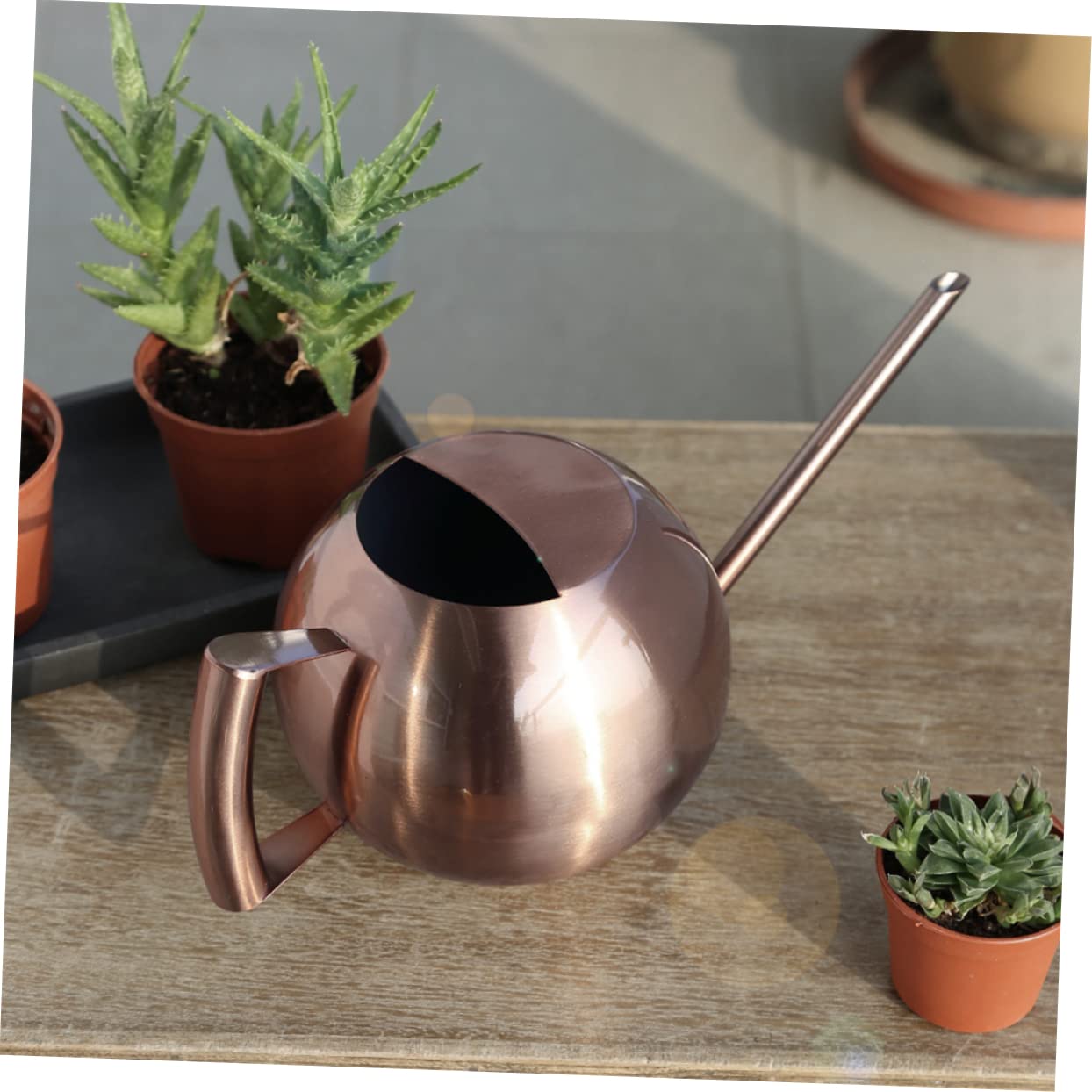 Konewka, Butelka na wodę ze stali nierdzewnej Metalowa konewka Konewka do Bonsai w pomieszczeniach Konewka do Bonsai Konewka do roślin domowych Rośliny Podlewanie zraszacz Czajnik Urządzenie do podlew