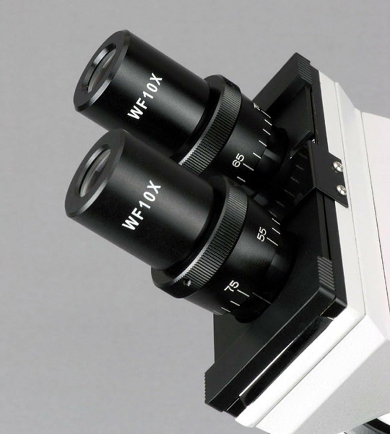 AmScope b100 C-sp14-cls-50p100s prismáticos biológica microscopio 40 x -2500 X con amplia Kit de preparación de diapositiva