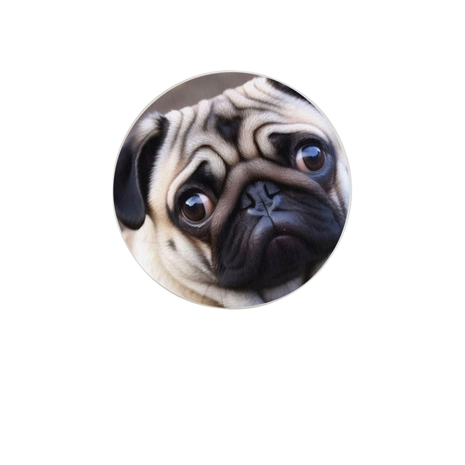 Pug Dog Absorbent Drink Coasters Diatomaceous Round Coaster 4 Inch Reusable Cup Coasters Set 4pc