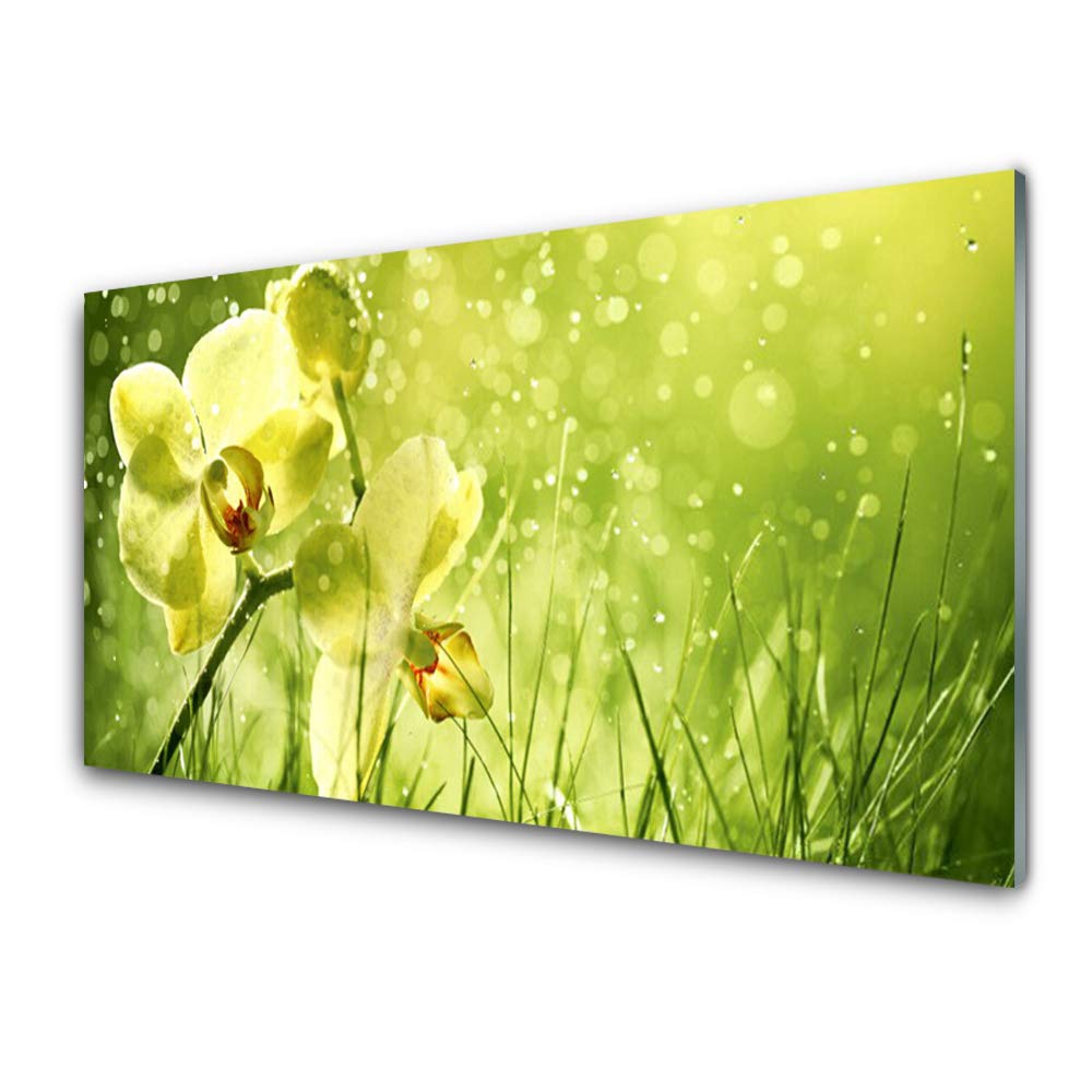 Impression sur Verre Trempé 100x50cm Tulup Tableau Décoration Moderne