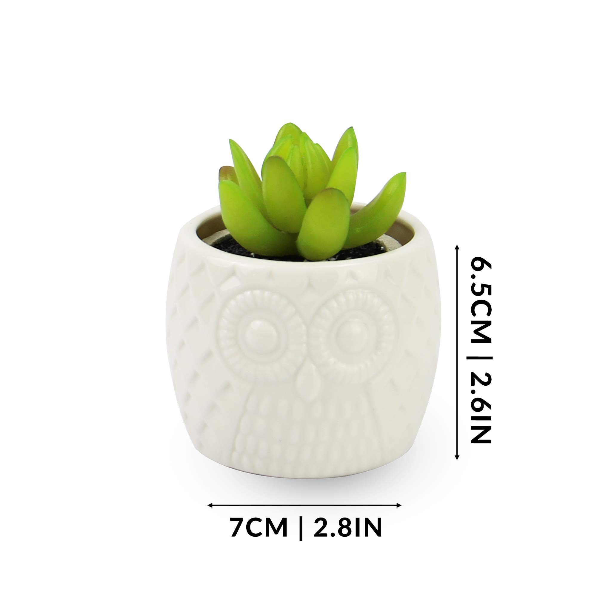 Pots De Fleurs Blancs De 15,2 Cm Pour Plantes, Pots De Fleurs En Céramique Avec Trous De