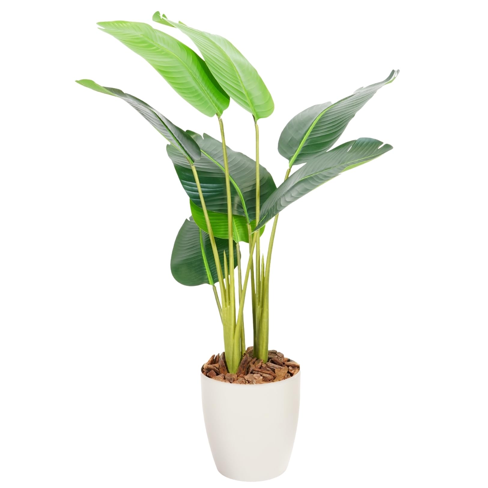 【人気商品】Botanical life+ フェイクグリーン 観葉植物 光触媒 人気商品】Botanical life+ フェイクグリーン 観葉植物 光触媒 【公式