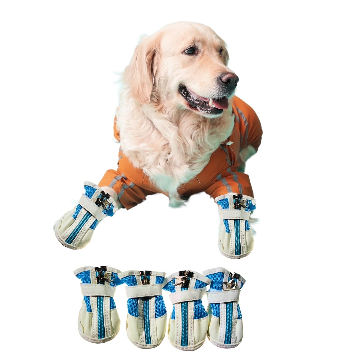 See full amazon price history chart for RV Dog Boots with Reflective Anti-Slip Sole - White and Blue Zip Lock Dog Shoes for Hardwood Floors, Outdoor Paw Protectors for Hiking and Running - Adjustable Mesh Boots Size No. 3 for 3-5 kg Dogs RV Dog Boots with Reflective Anti-Slip Sole - White and Blue Zip Lock Dog Shoes for Hardwood Floors, Outdoor Paw Protectors for Hiking and Running - Adjustable Mesh Boots Size No. 3 for 3-5 kg Dogs (B0DH3HH2LF) Amazon Price History, Amazon Price Tracker