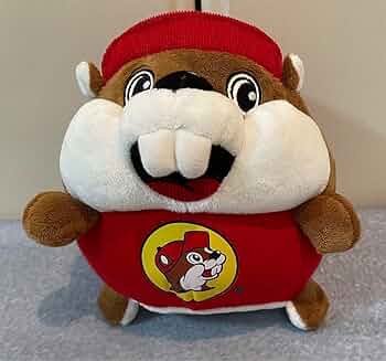 61-iTBVcMZL._AC_UF350,