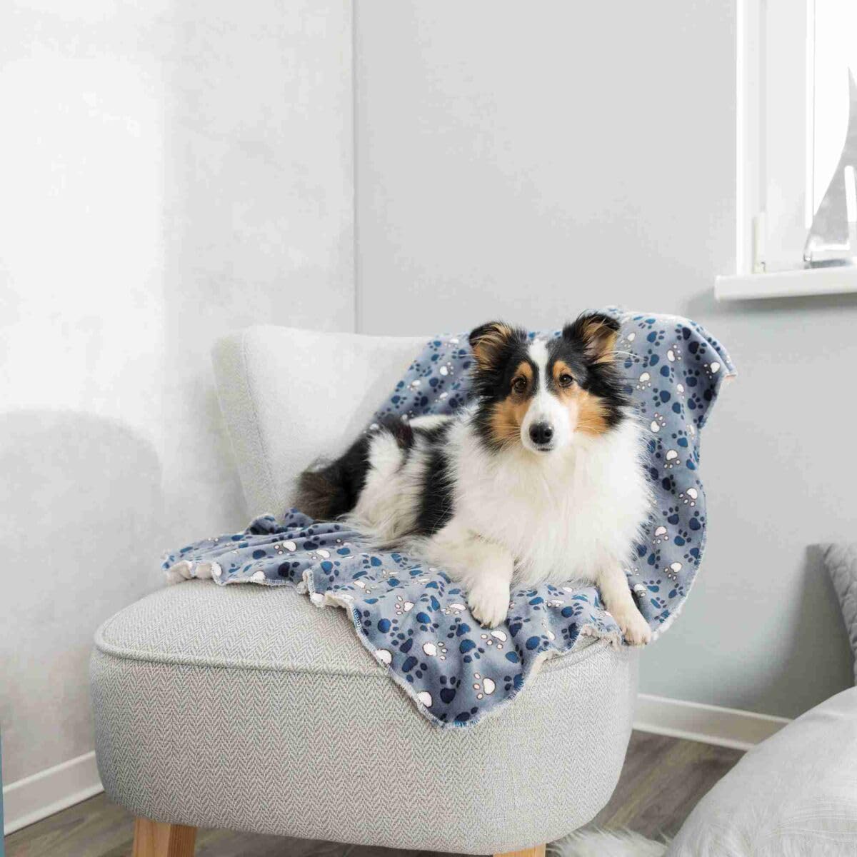 Trixie 37150 Koc Tammy, 100 × 70 cm, niebieski/beżowy