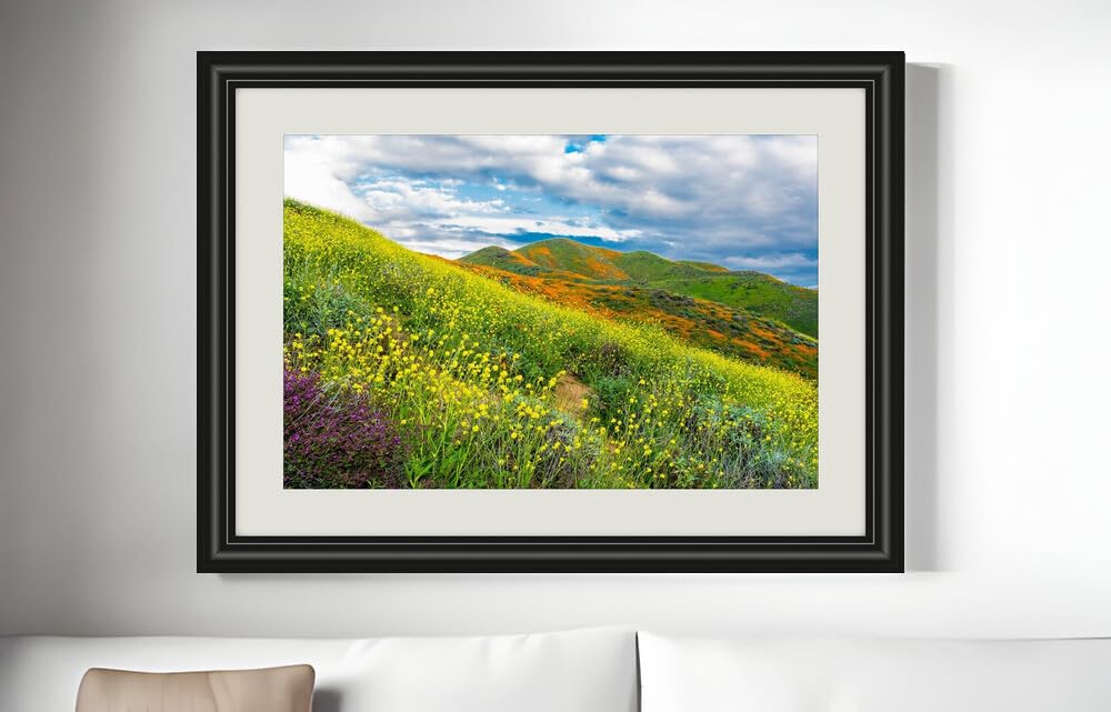 JZZF31406 USA Fields Walker Canyon in Lake Elsinore| Self-Adhesive Painting | Frameless