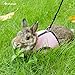 Niteangel Adjustable Soft Harness with Elastic Leash for Rabbits (XL, Pink)