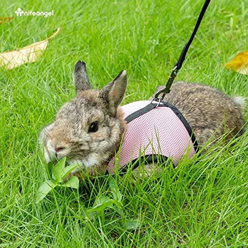 Image of Niteangel Adjustable Soft Harness with Elastic Leash for Rabbits (XL, Grey)