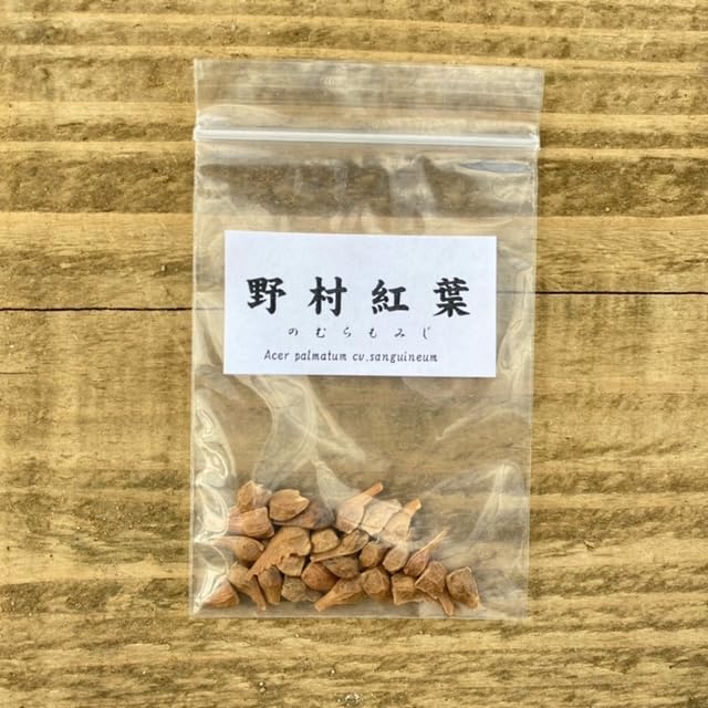 もみじ　4袋 フクサヤもみじキューブ ギフトセット 15個入 | 季節限定